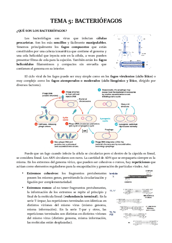 Miniatura del documento TEMA-5.pdf
