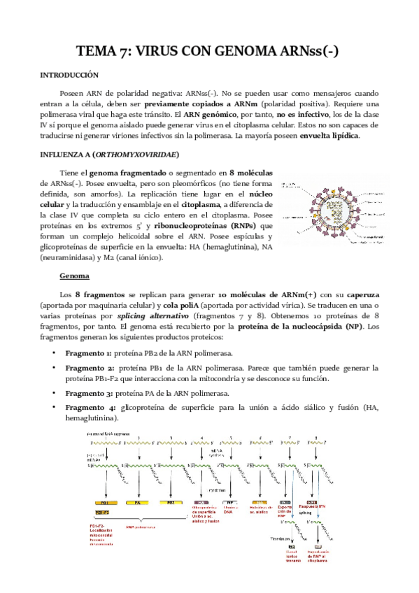 Miniatura del documento TEMA-7.pdf