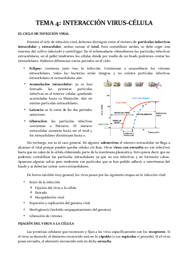 Miniatura del documento TEMA-4.pdf