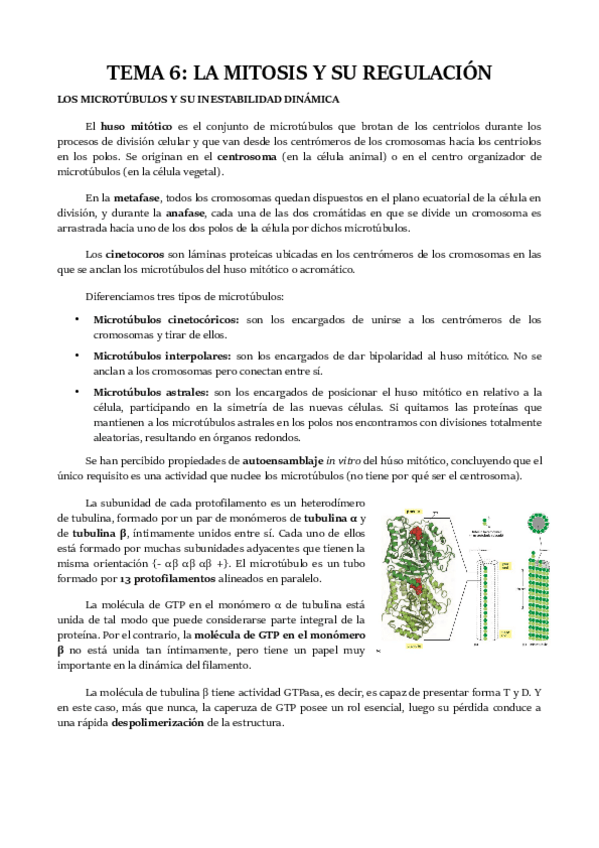 Miniatura del documento TEMA-6.pdf