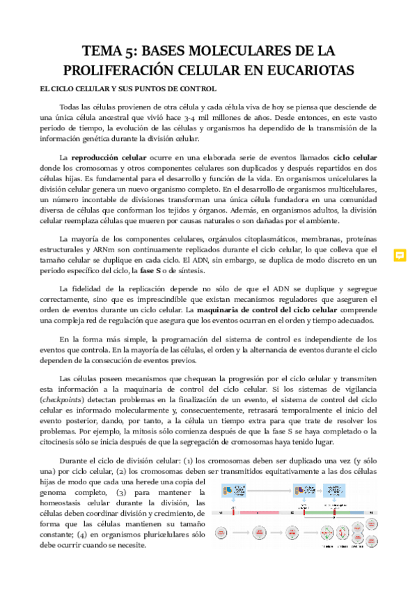 Miniatura del documento TEMA-5.pdf