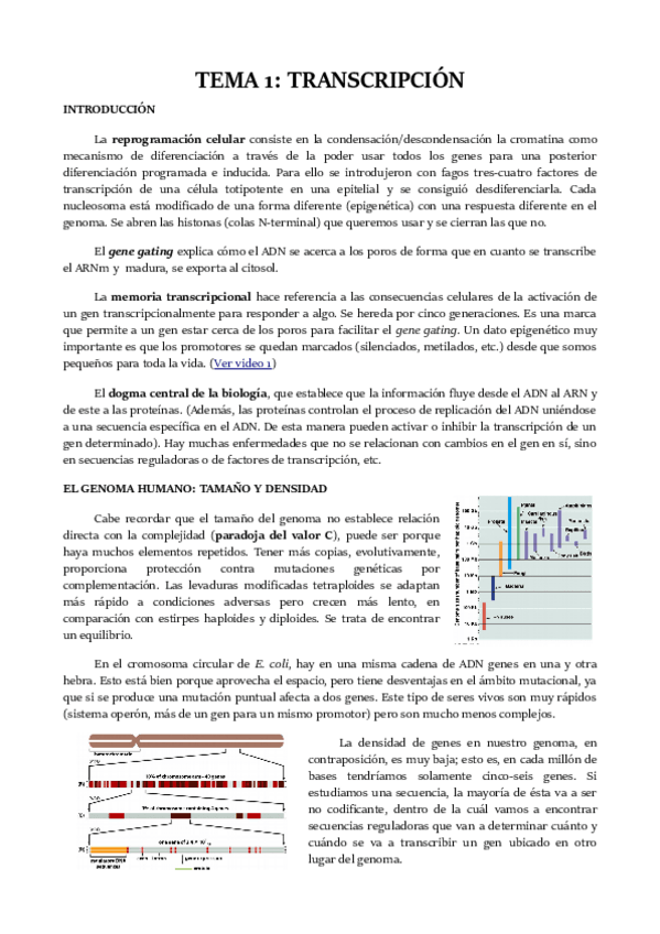 Miniatura del documento TEMA-1.pdf