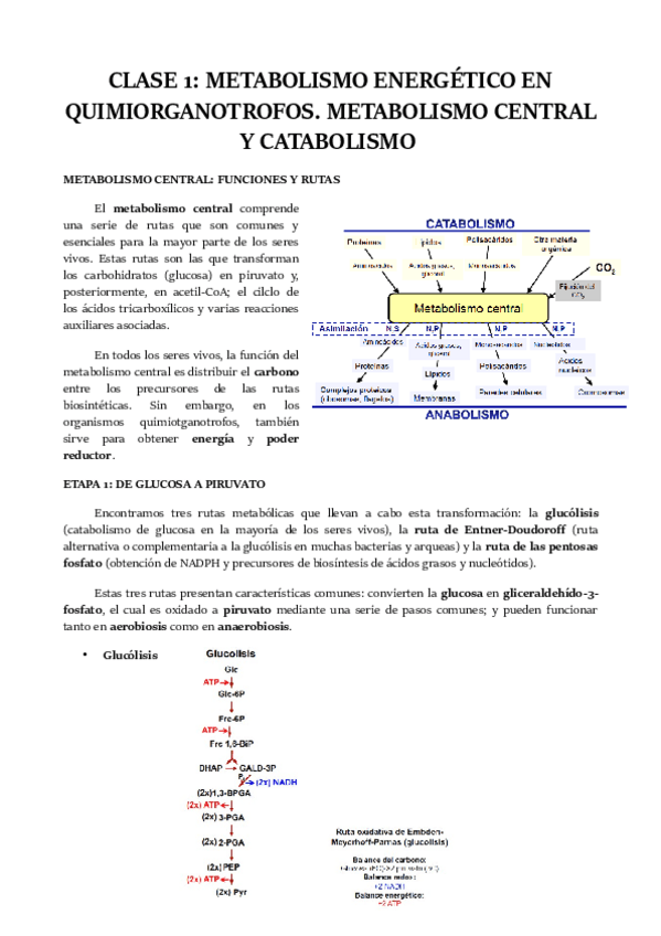 Miniatura del documento CLASE-1.pdf