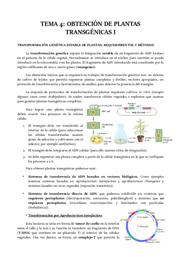 Miniatura del documento TEMA-4.pdf