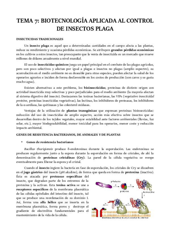 Miniatura del documento TEMA-7.pdf