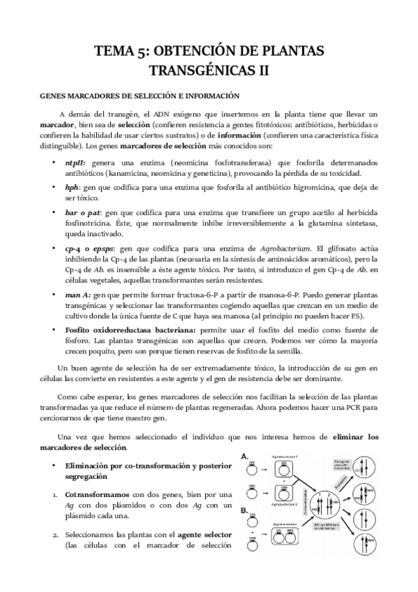 Miniatura del documento TEMA-5.pdf