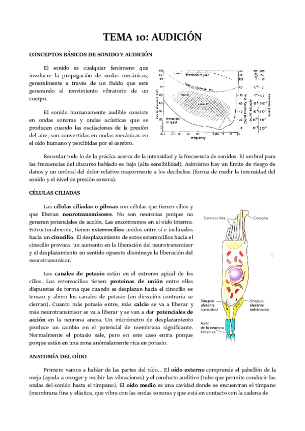 Miniatura del documento TEMA-10.pdf