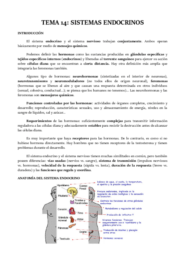 Miniatura del documento TEMA-14.pdf