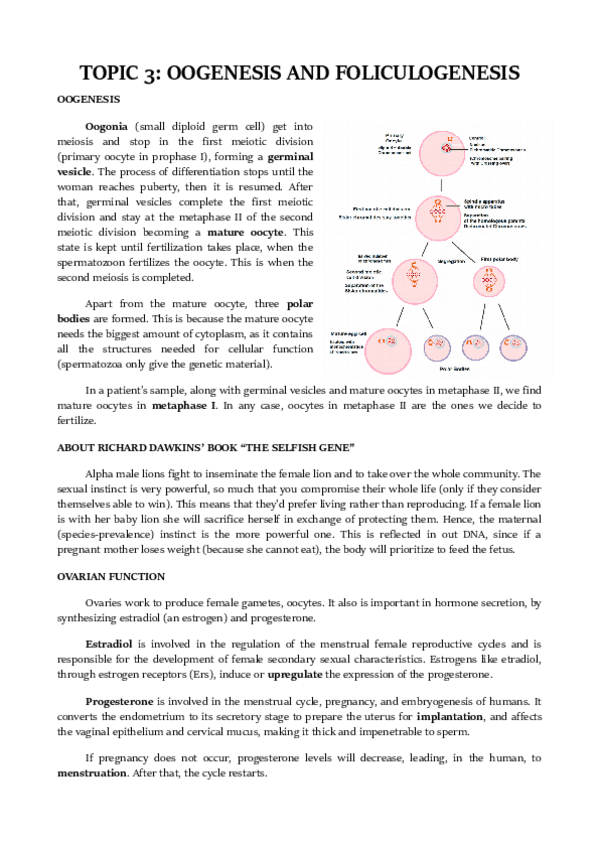 Miniatura del documento TOPIC-3.pdf