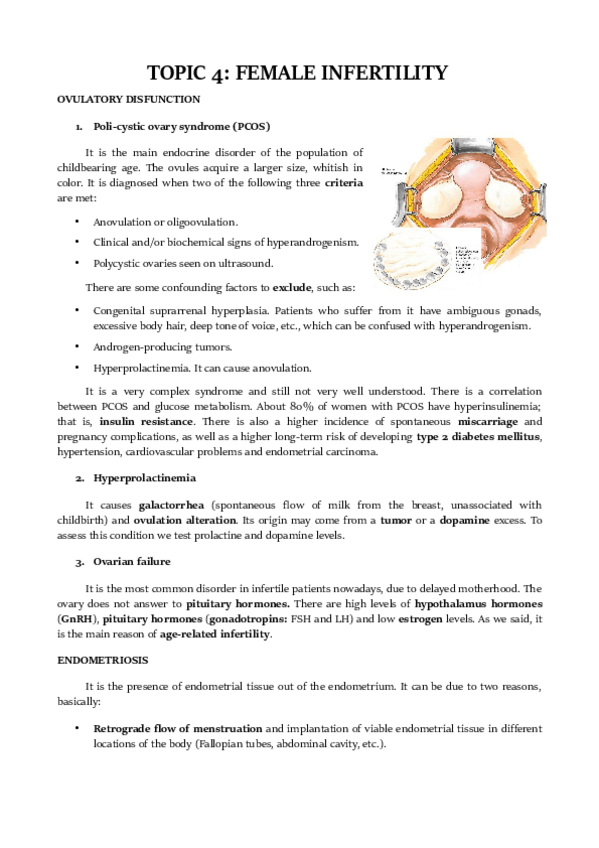 Miniatura del documento TOPIC-4.pdf