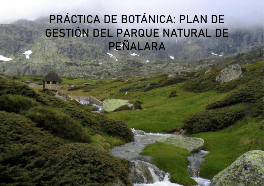 Miniatura del documento PRACTICA-BOTANICA-DEFINITIVA.pdf