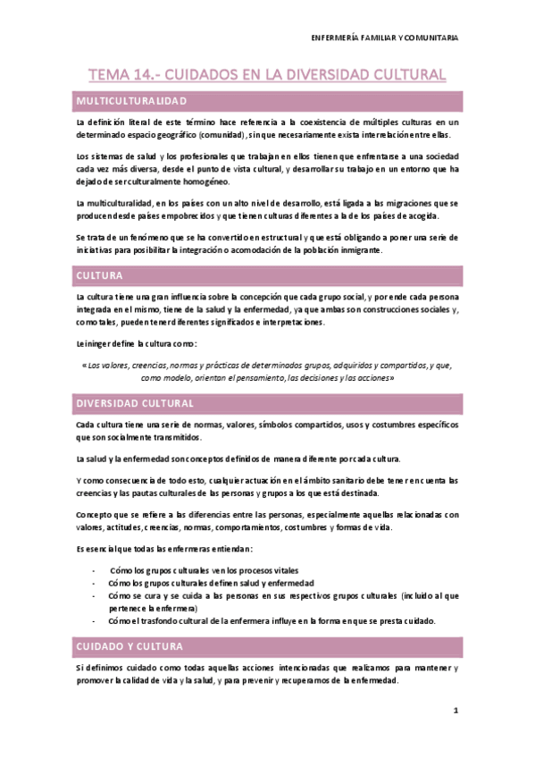 Miniatura del documento TEMA-14.pdf