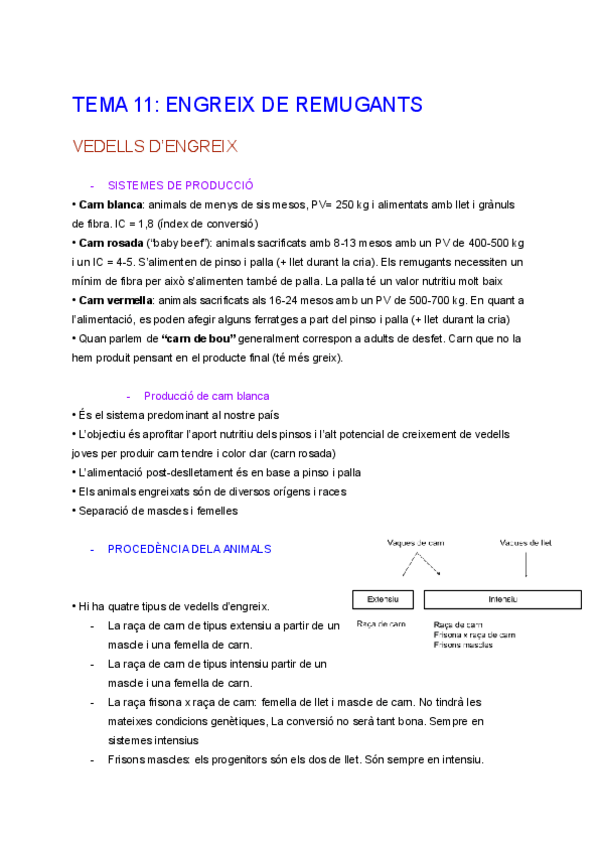 Miniatura del documento TEMA-11.pdf