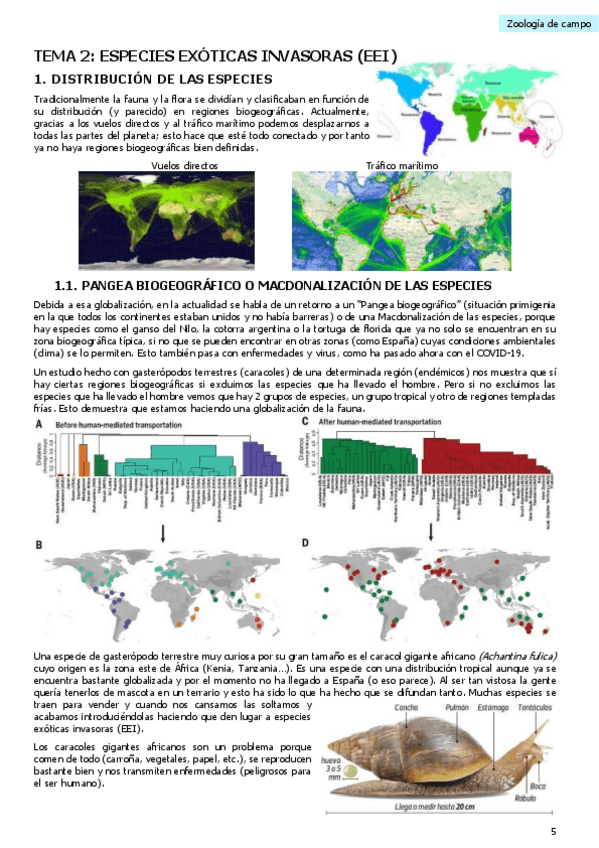 Miniatura del documento 02-ZOO-CAMPO.pdf