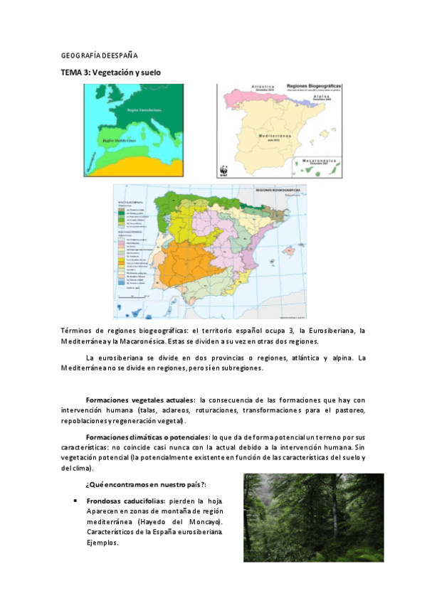 Miniatura del documento Geo-Tema-3-Vegetacion-y-suelo.pdf
