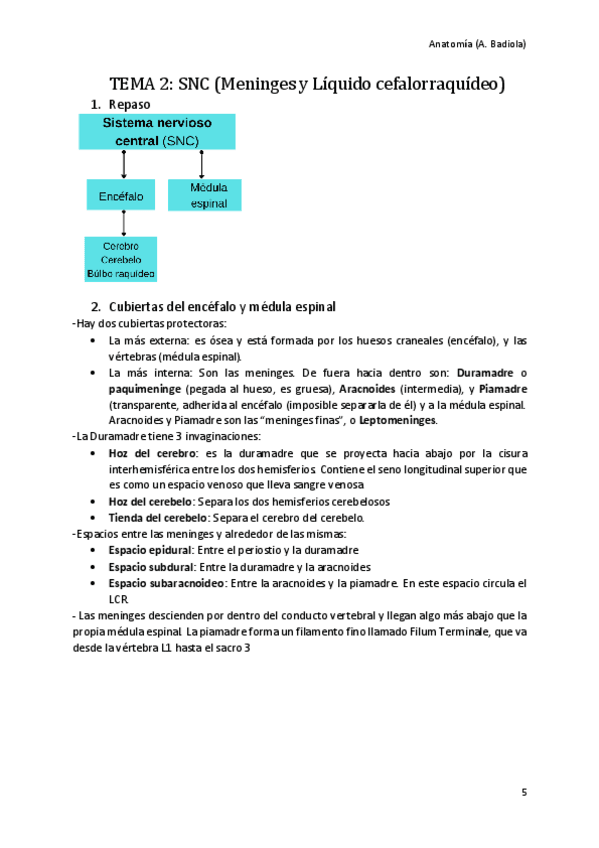 Miniatura del documento Meninges-y-Liquido-cefalorraquideo.pdf