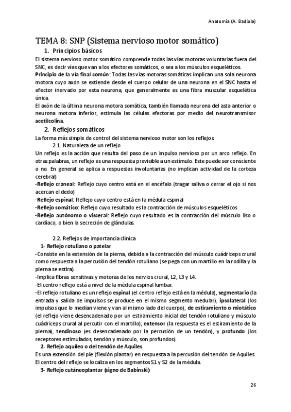 Miniatura del documento Sistema-nervioso-motor-somatico.pdf