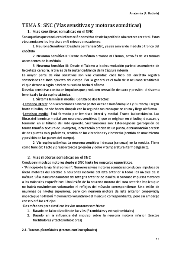 Miniatura del documento Vias-sensitivas-y-motoras-somaticas.pdf