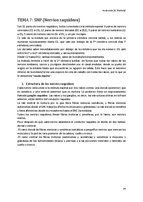 Miniatura del documento Nervios-raquideos.pdf
