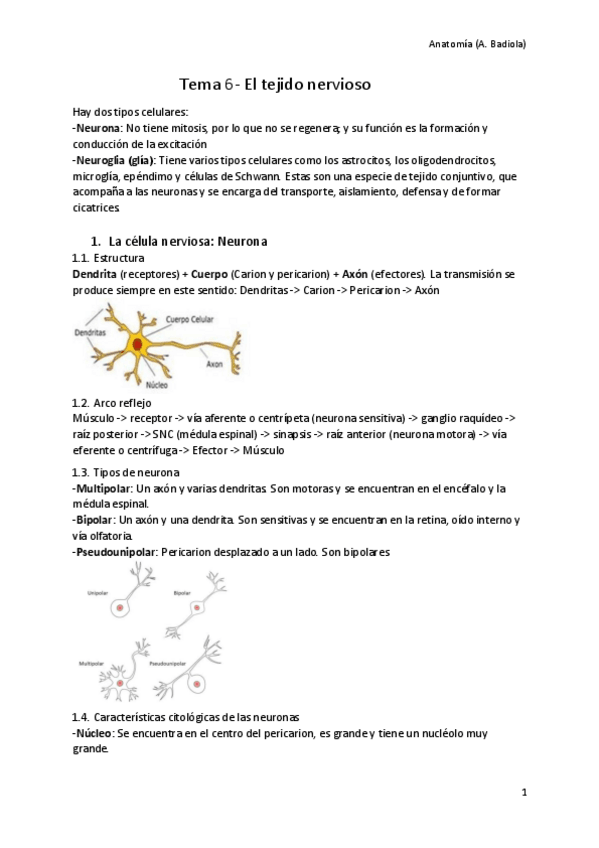 Miniatura del documento 6.pdf