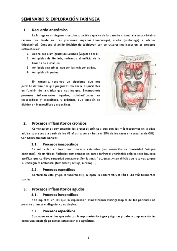 Miniatura del documento Seminario-5.pdf