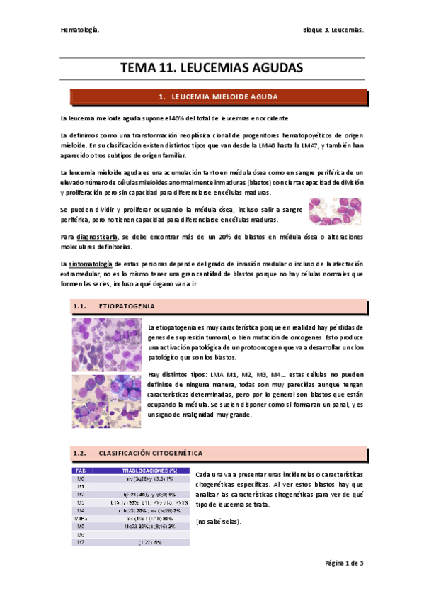 Miniatura del documento TEMA-11-hemato.pdf