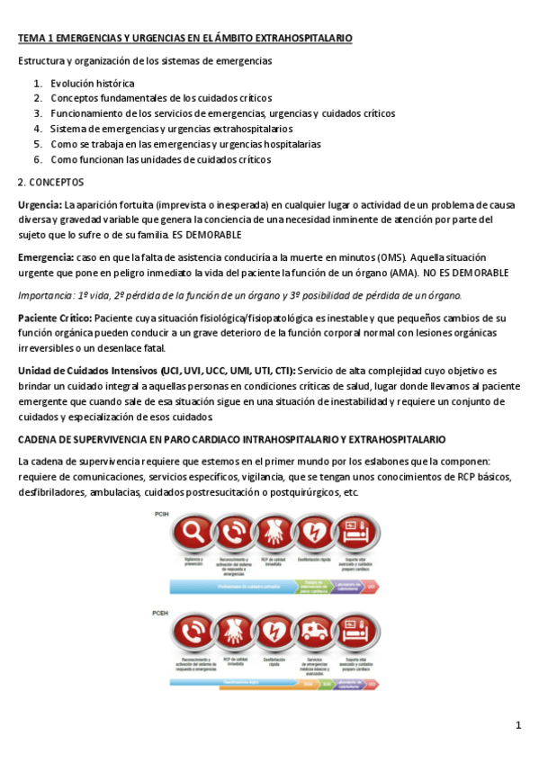 Miniatura del documento PALIATIVO-TEMAS-1-20.pdf