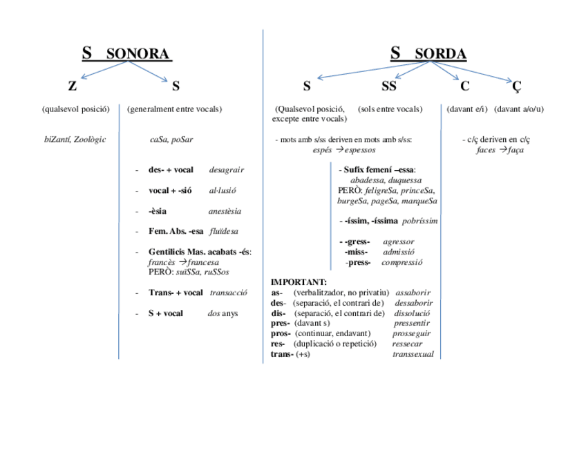 Miniatura del documento Esquema-S-sonora-i-sorda.pdf