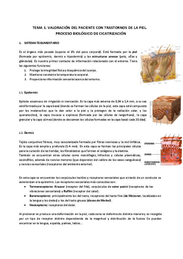 Miniatura del documento tema-1.pdf