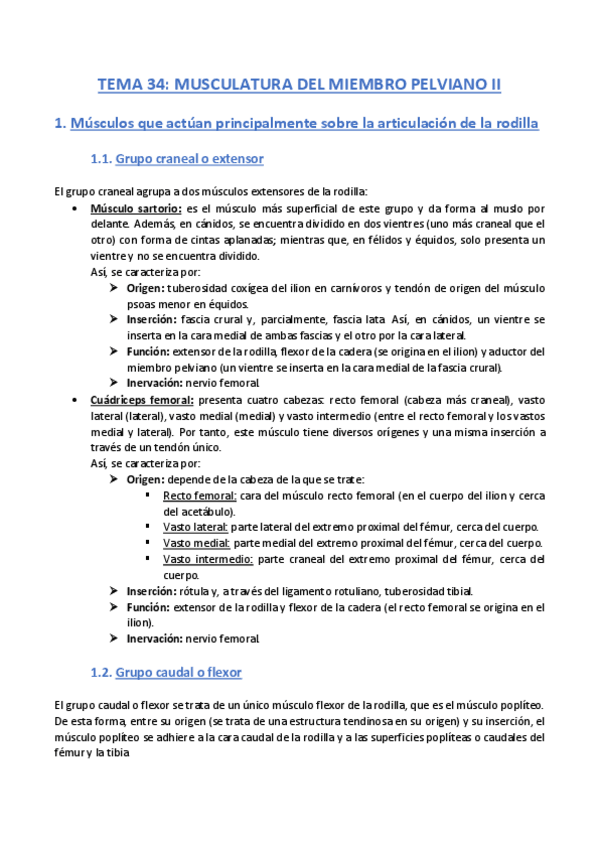 Miniatura del documento TEMA-34-Anatomia.pdf