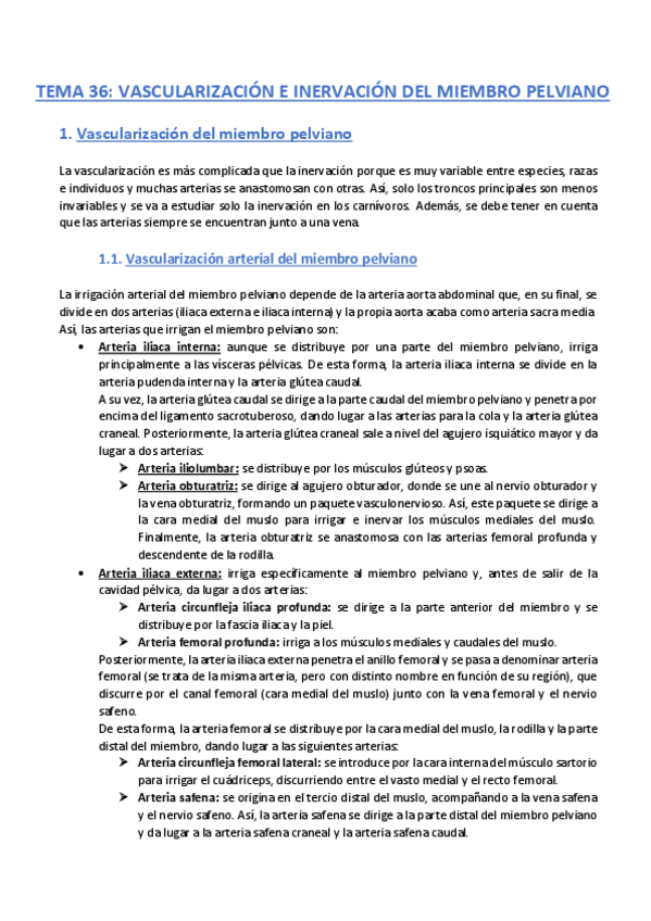 Miniatura del documento TEMA-36-Anatomia.pdf