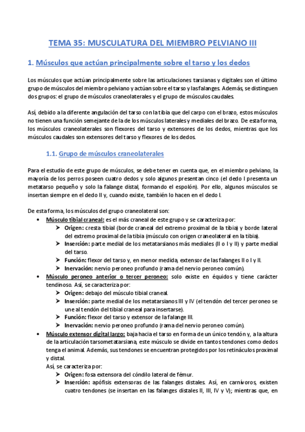 Miniatura del documento TEMA-35-Anatomia.pdf