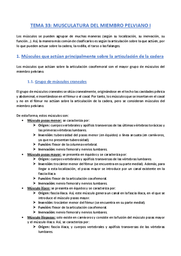 Miniatura del documento TEMA-33-Anatomia.pdf