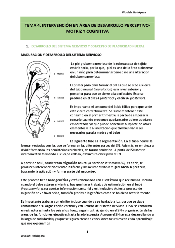 Miniatura del documento TEMA-4.pdf