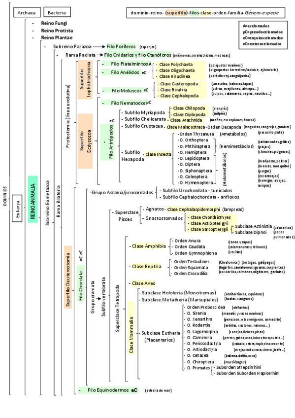 Miniatura del documento esquematotal.pdf