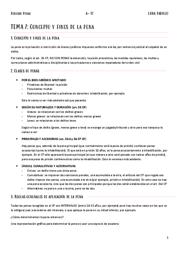 Miniatura del documento A-Penal-T7.pdf