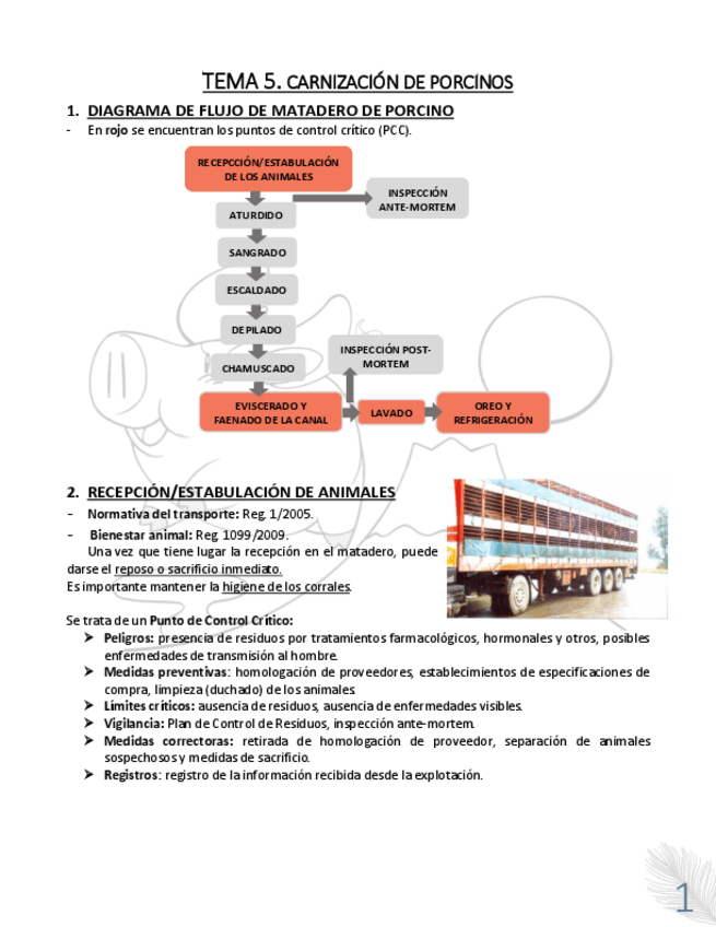 Miniatura del documento TEMA-5.pdf