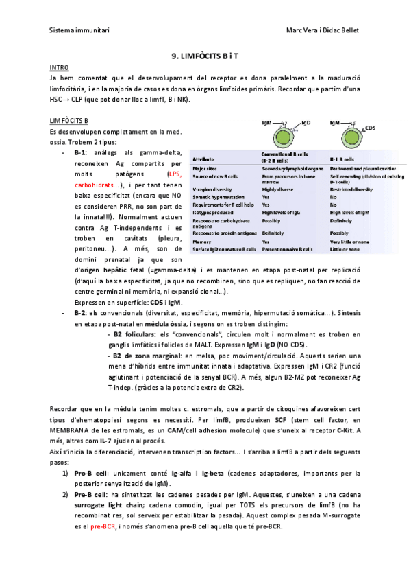 Miniatura del documento SIT9-LimfocitsBT.pdf