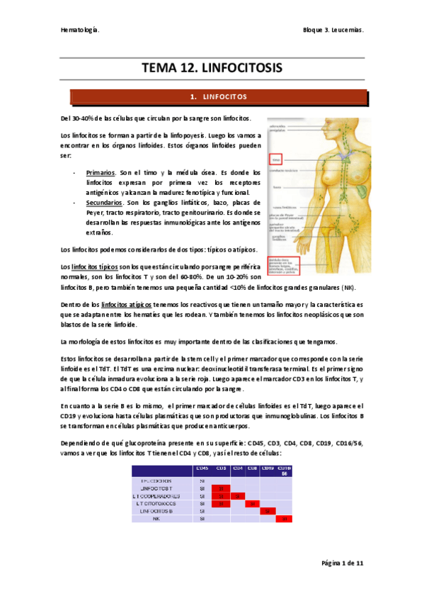 Miniatura del documento TEMA-12-hemato.pdf
