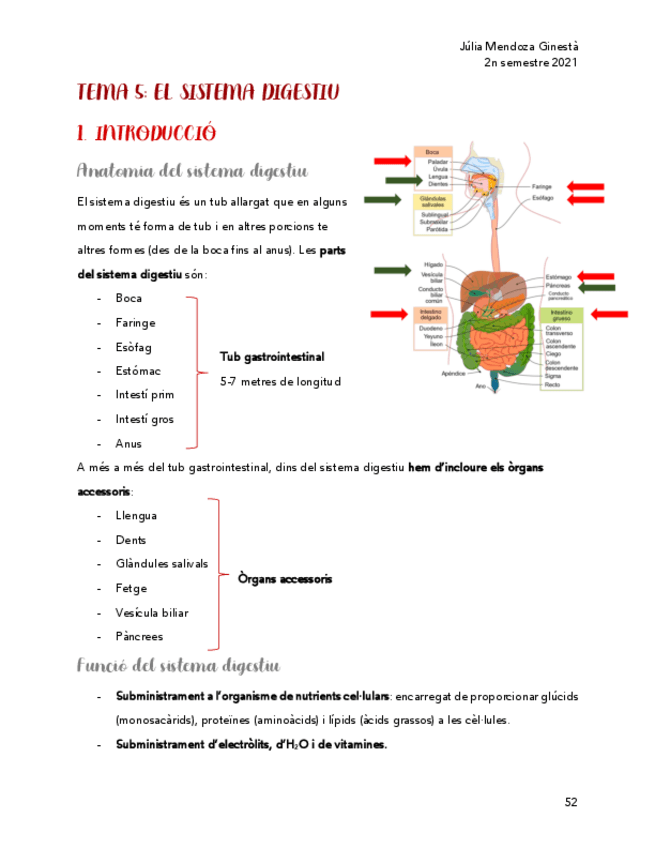 Miniatura del documento Sistema-digestiu.pdf
