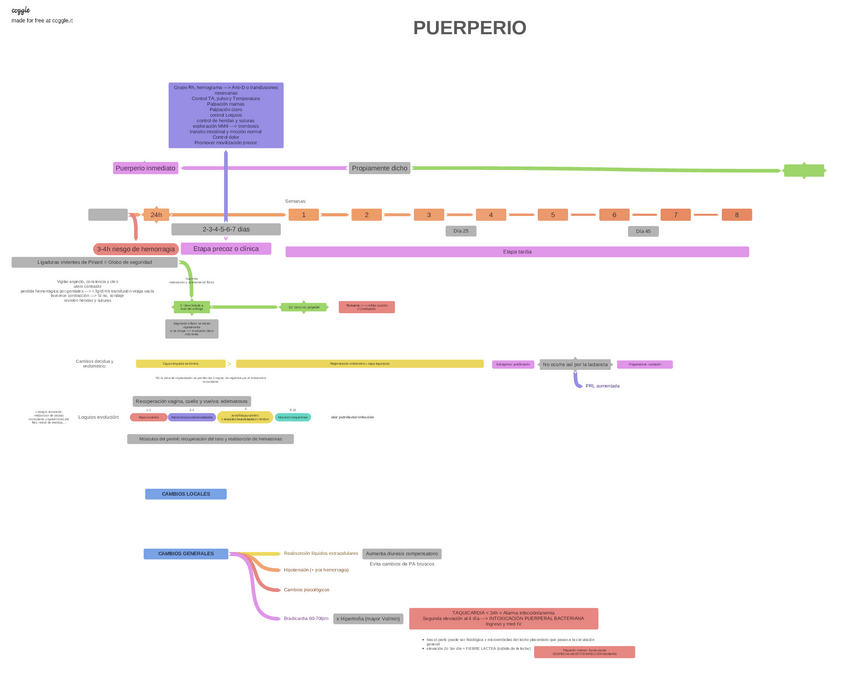 Miniatura del documento PUERPERIO-2020-05-14-170702.pdf