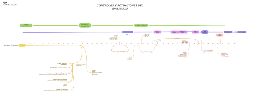 Miniatura del documento Actuaciones-Embarazo-2020-05-11-154842.pdf