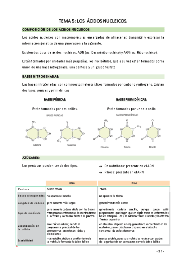 Miniatura del documento APUNTES-BIOLOGIA-PAU-ACIDOS-NUCLEICOS.pdf