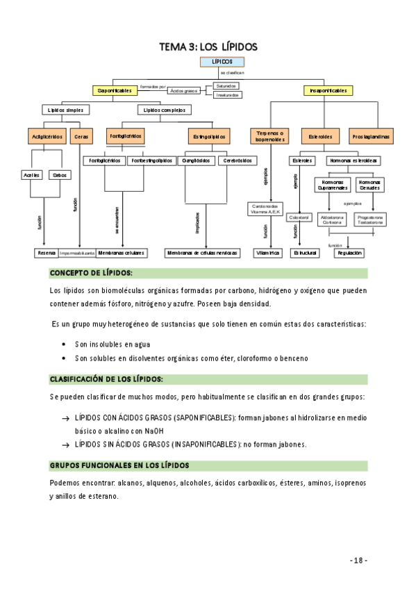 Miniatura del documento APUNTES-BIOLOGIA-PAU.pdf