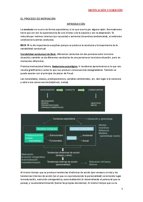 Miniatura del documento TEORIA.pdf