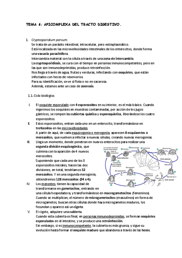 Miniatura del documento TEMA-6.pdf