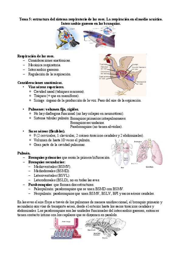 Miniatura del documento Tema-8-aves-y-peces.pdf