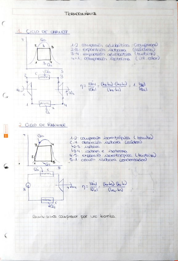 Miniatura del documento CICLOS.pdf