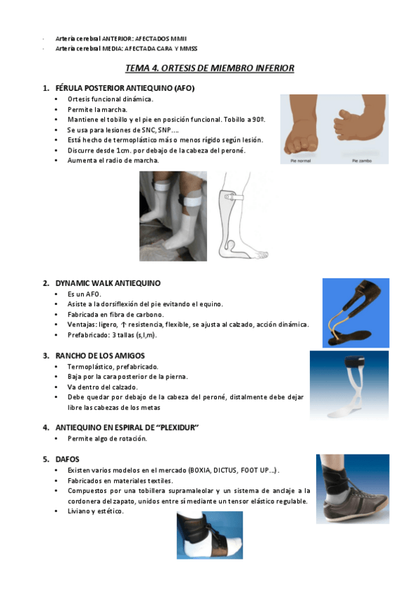 Miniatura del documento T4.pdf