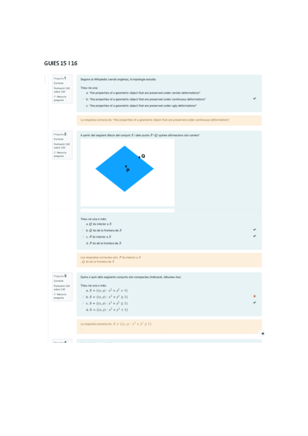 Miniatura del documento GUIES-15-I-16.pdf